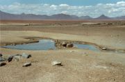Einsame Quelle in der Namib - Wüste
